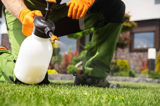 Best Pest Prevention Services  in Solvang, CA