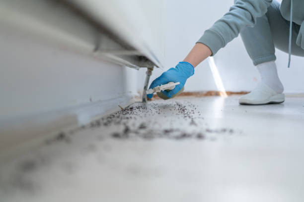 Best Exterminator Services  in Solvang, CA